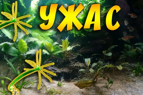 Кракен через тор браузер
