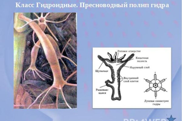 Официальный сайт kraken ссылки зеркала