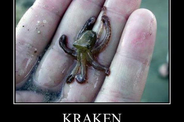 Kraken 12 at сайт