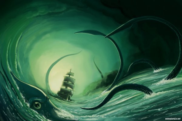 Kraken 5 at